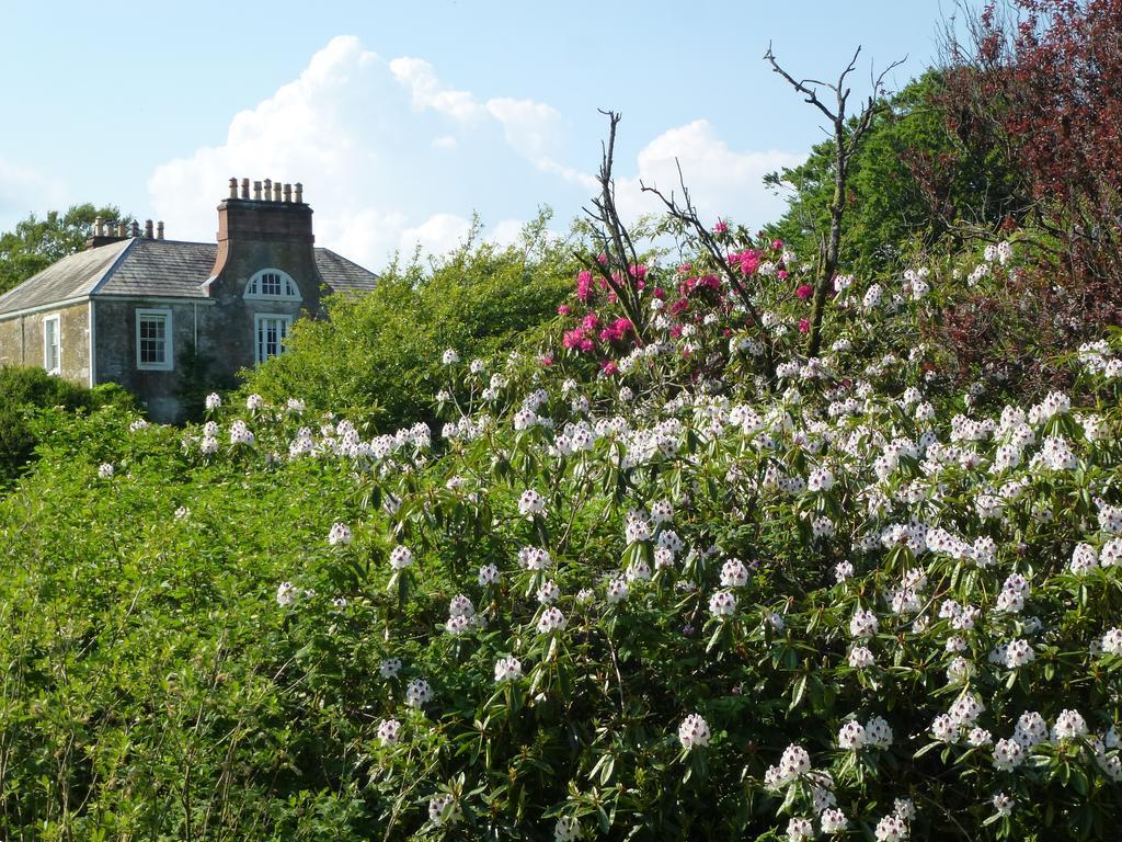Chipperkyle Country House B&B Kirkpatrick Durham Eksteriør billede